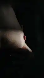 backgroud