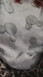 backgroud