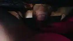 backgroud