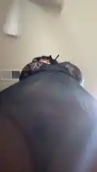 pussy