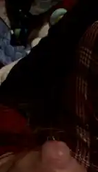backgroud