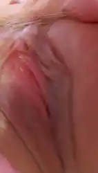 pornstars