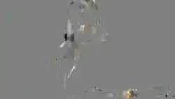 backgroud