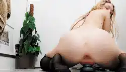 backgroud