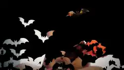 backgroud