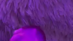 backgroud